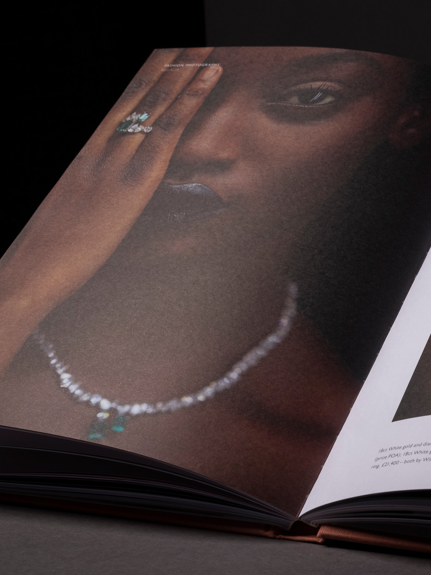 Printed spread from the Accouter Four annual showcasing a diamond necklace and ring from William and Son on a black model