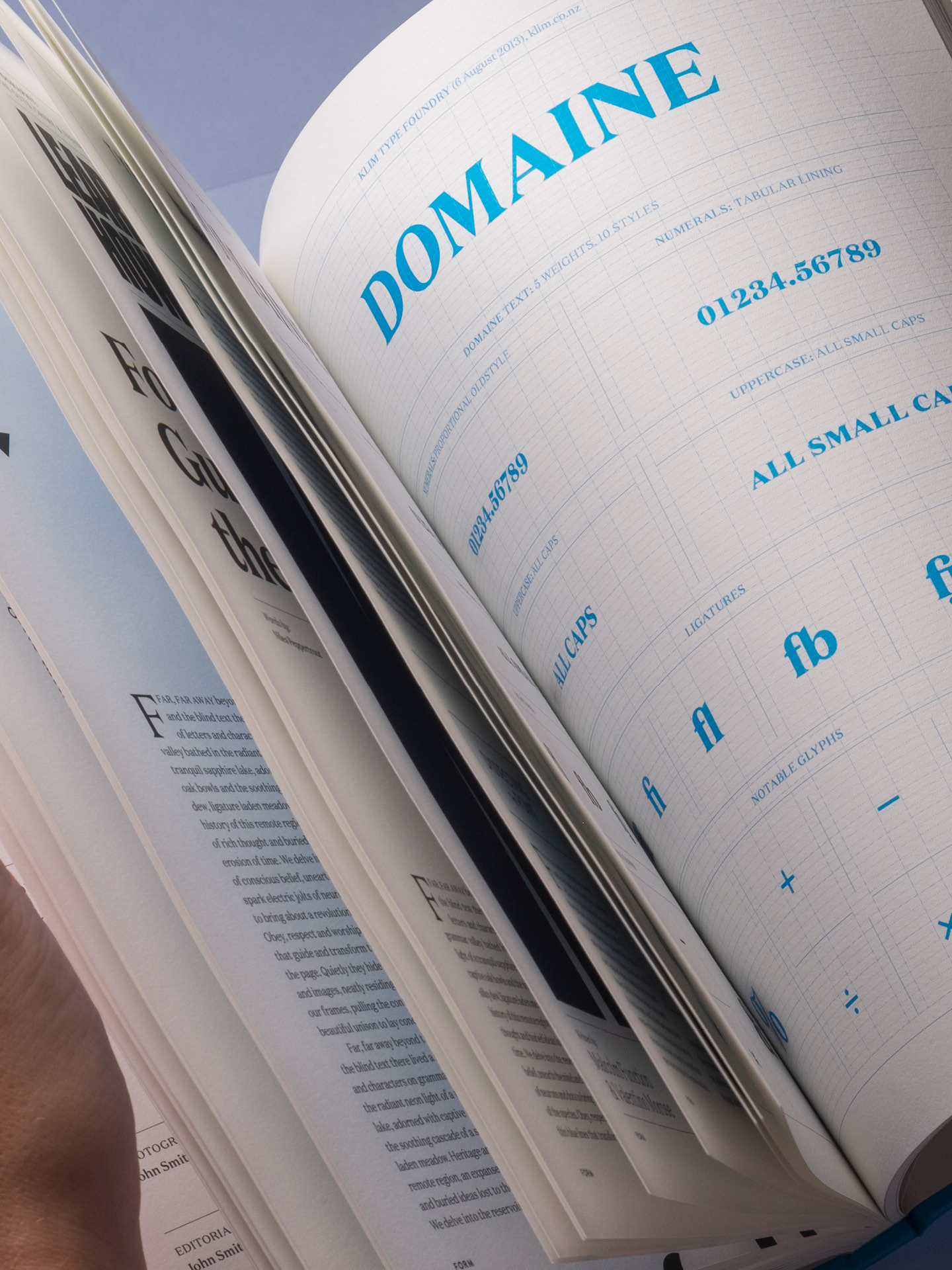 A detailed shot from one of the spreads featuring an overlay of grids demonstrating alignment to the content